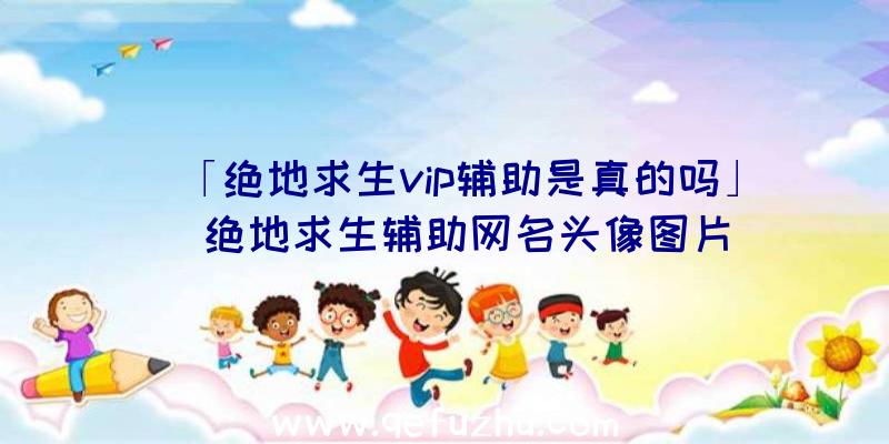 「绝地求生vip辅助是真的吗」|绝地求生辅助网名头像图片